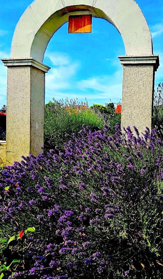 Dreamly Suites Oszlop Kültér fotó